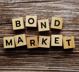Invest in Bonds: A Smart Strategy for Seniors in 2025