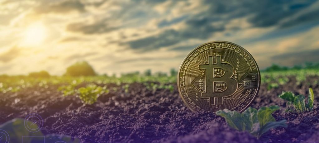 Crypto market reels from $19 billion wipe-out after tariff threat and fraud raid - Imagem do artigo
