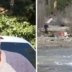 Modern-Day Prospectors Unearth Fresh Gold Finds in California’s Rivers