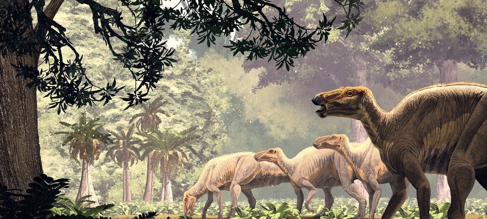 Exceptionally Preserved Dinosaur “Mummies” in Wyoming Reveal Skin, Hooves and Tail Spikes - Imagem do artigo original