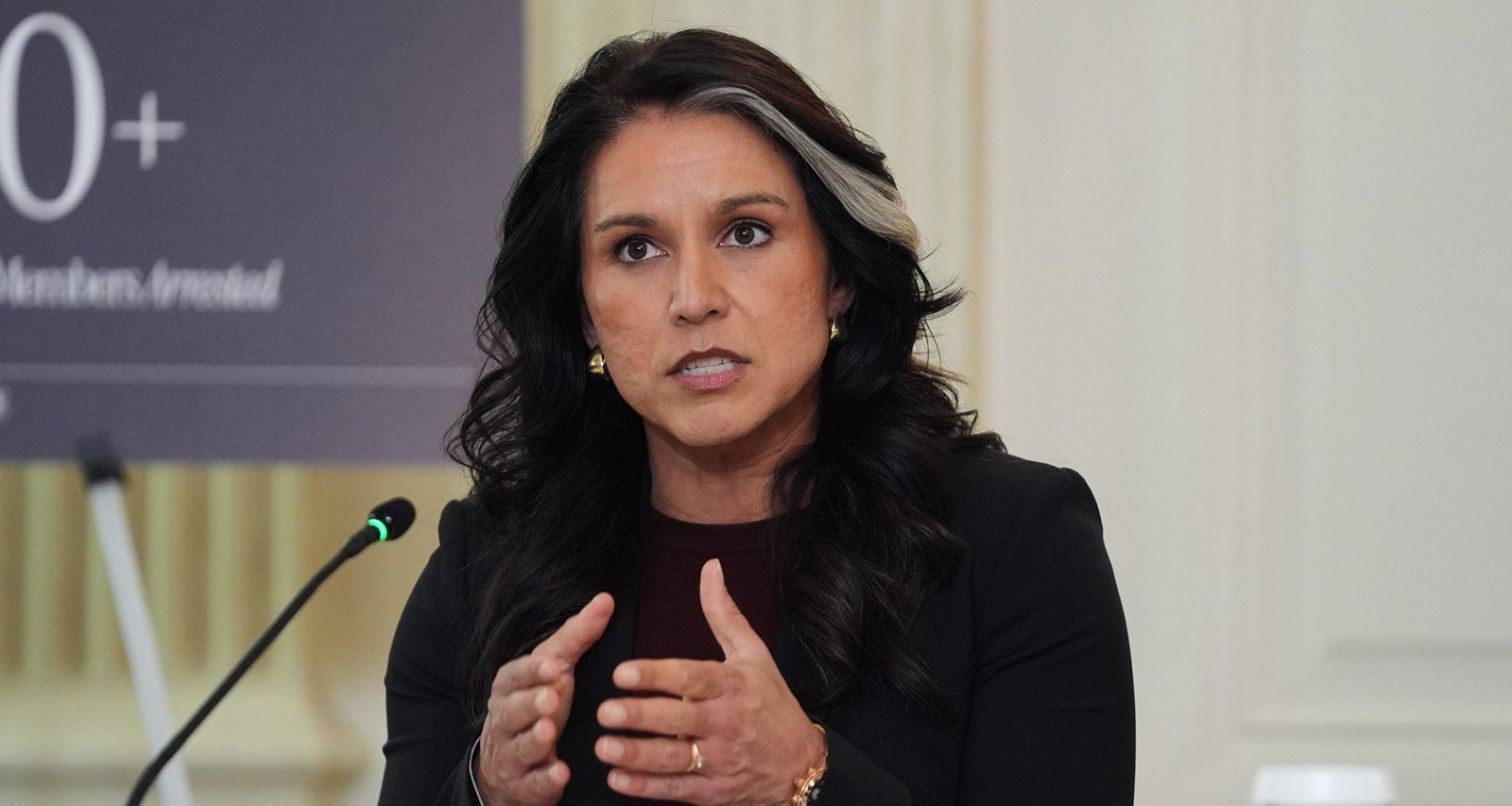 Tulsi Gabbard Makes Unannounced Trip to Israel Amid Ongoing Hostage Returns - Imagem do artigo original