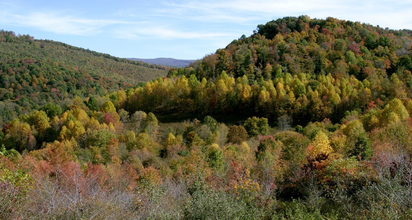 Body of Missing Foreman Recovered After Flooded West Virginia Mine Search - Imagem do artigo original