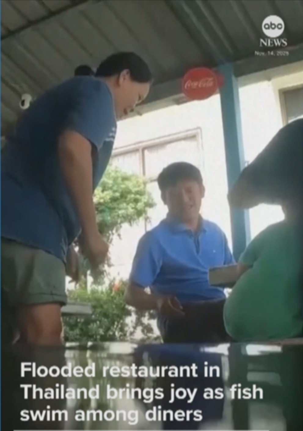 Fish Seen Swimming Around Diners After Thai Restaurant Floods - Imagem do artigo original