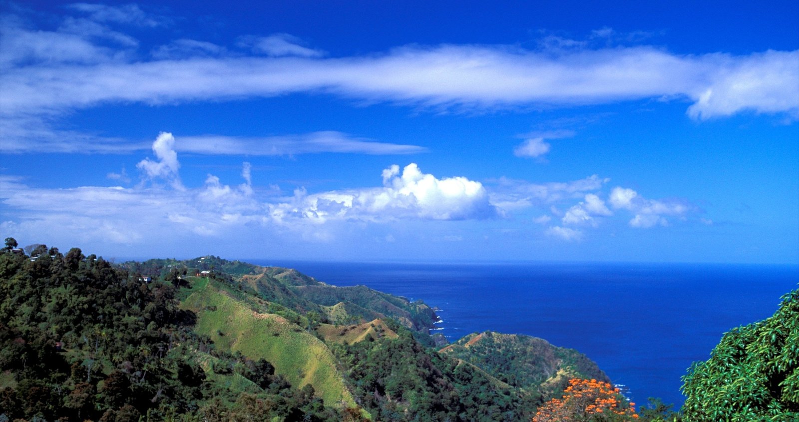 U.S. Tourist Fatally Stabbed in Tobago; Police Detain One Suspect - Imagem do artigo original