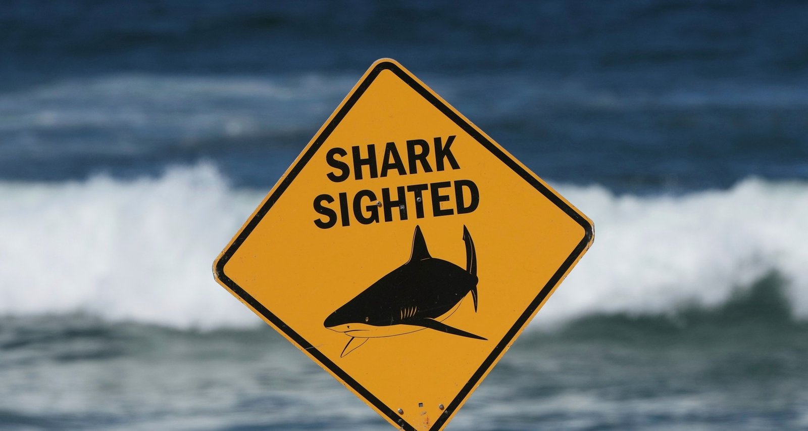 Swiss Tourists Attacked by Shark in New South Wales; One Fatality Reported - Imagem do artigo original