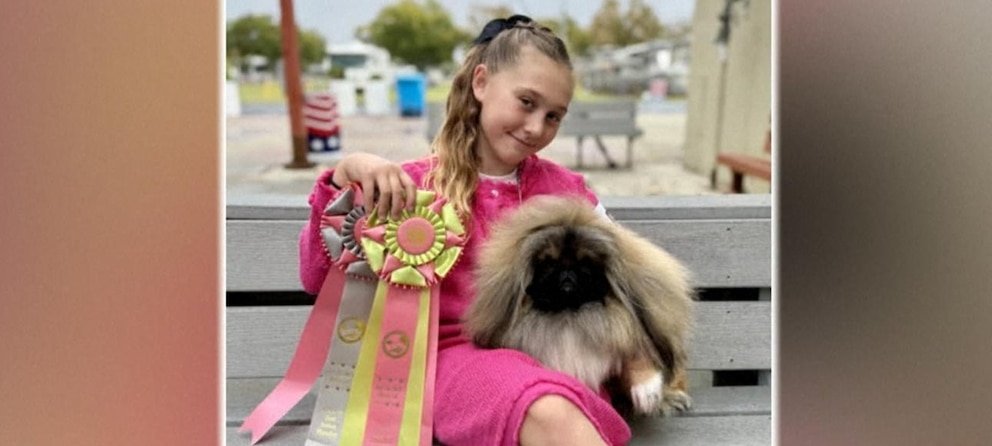 Twelve-Year-Old Handler Poised to Challenge for Best in Show With Her Dog - Imagem do artigo original