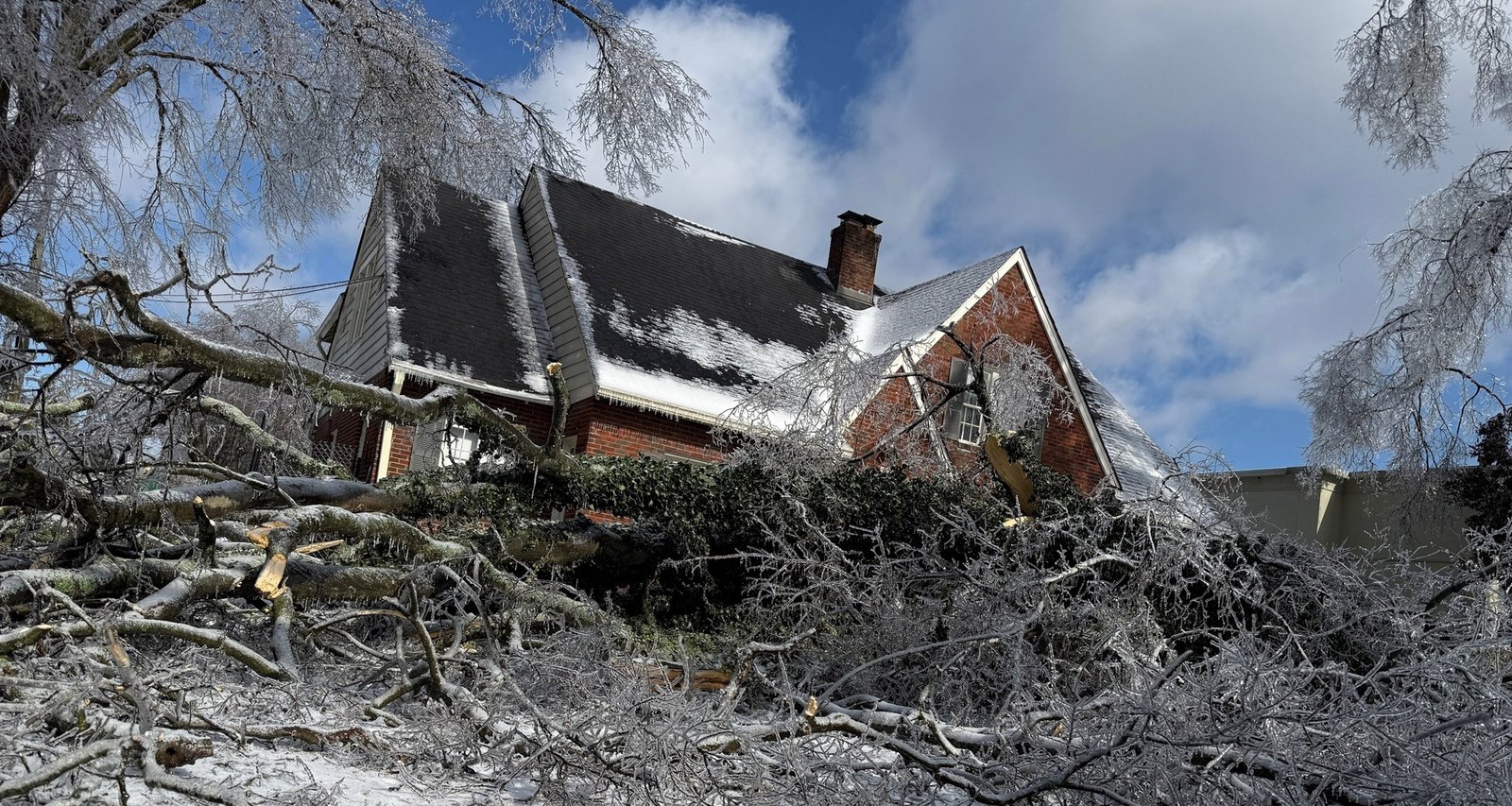 Deep Freeze Returns to Southern U.S., Complicating Power Restorations and Threatening Florida Agriculture - Imagem do artigo original