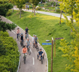 How to Improve Your Long-Term Health Outcomes: Strategies from Blue Zones Research