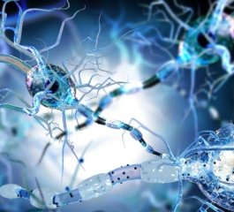 2025’s Most-Read Longevity Guides Highlight Beans, Fasting, Tea, and Family Bonds