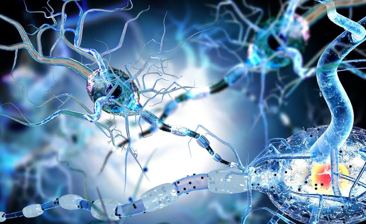 2025’s Most-Read Longevity Guides Highlight Beans, Fasting, Tea, and Family Bonds - Imagem do artigo