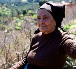 Independent Study Verifies Longevity Records in World’s Blue Zones