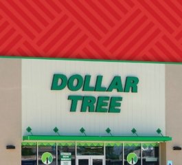 Dollar Tree Shoppers Rush to Grab 11 New Home Décor and DIY Essentials Priced From $1.25