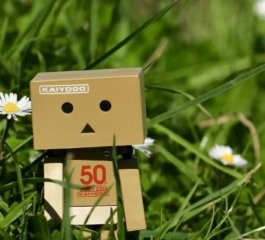 Psychologists Highlight How Perfectionism Disrupts the Search for Sustainable Love