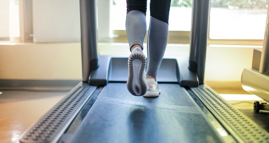 Home Fitness Surge Boosts Interest in Vibration Exercise Machines: Ten Models Assessed - Imagem do artigo original