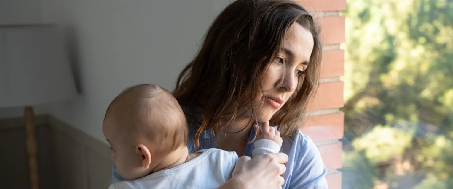 Ecological Principles Offer Framework for Understanding Maternal Resilience - Imagem do artigo