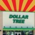 Dollar Tree Rolls Out 11 Noteworthy Budget Finds Hitting Stores in March