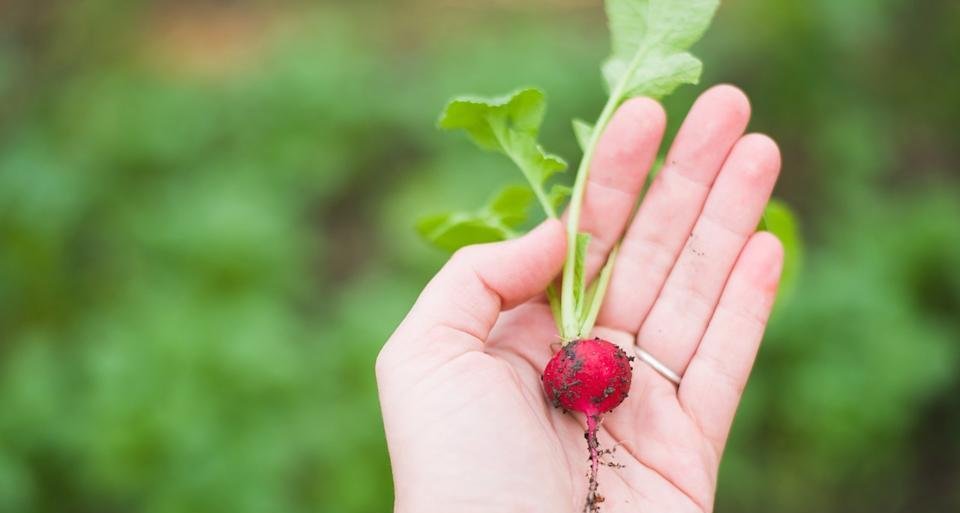 Bill Gates Portfolio 2026 Places Deere & Co. as Sixth-Largest Holding - Imagem do artigo original