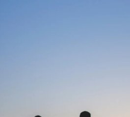 Shared Appreciation of Positive Moments Linked to Stronger Romantic Relationships, Study Finds