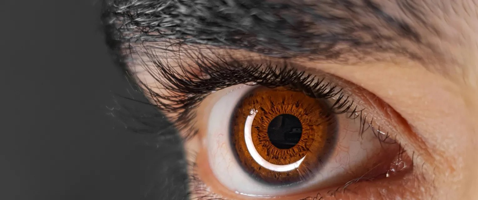 Power-Blindness Undermines Leadership by Reducing Empathy, Research Shows