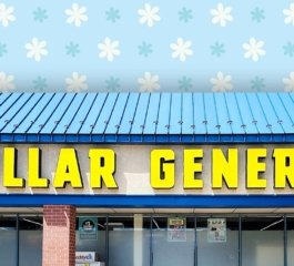 Dollar General Draws Shoppers With New “xo Holly” Home Collection