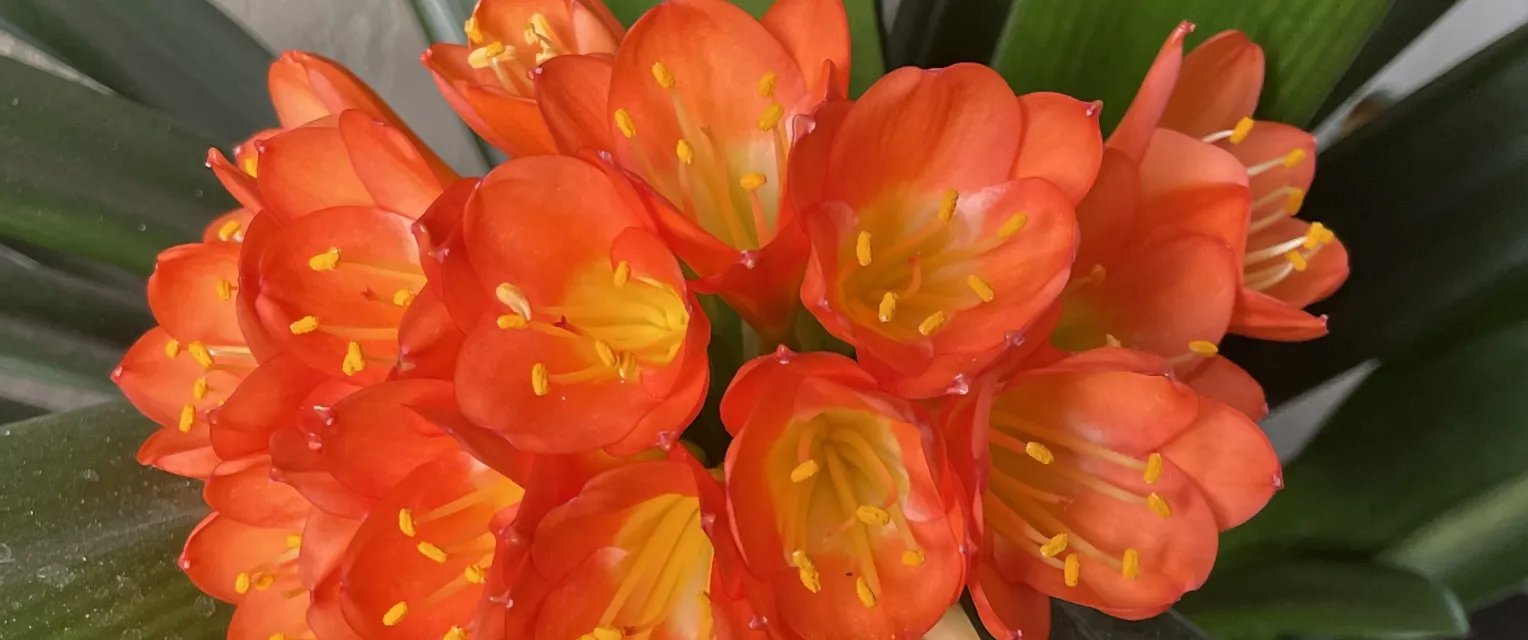 Estranged Mothers Face Heightened Grief as Mother’s Day Nears