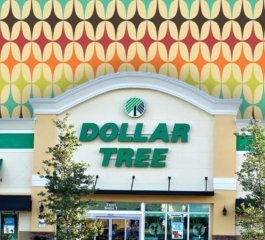 Dollar Tree Shoppers Rush for Low-Cost Organizers Priced as Little as $1.25
