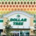 Dollar Tree Shoppers Rush for Low-Cost Organizers Priced as Little as $1.25
