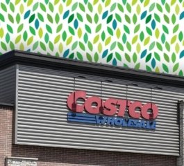 Costco Rolls Out 11 Budget-Friendly Items to Upgrade Outdoor Spaces This Month