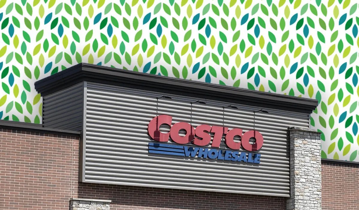Costco Rolls Out 11 Budget-Friendly Items to Upgrade Outdoor Spaces This Month - Imagem do artigo