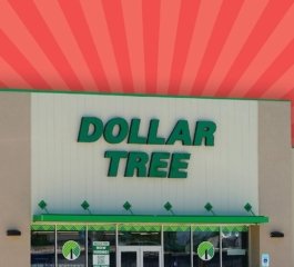 Dollar Tree Introduces 11 Budget-Friendly Items to Refresh Home Gardens