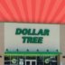 Dollar Tree Introduces 11 Budget-Friendly Items to Refresh Home Gardens